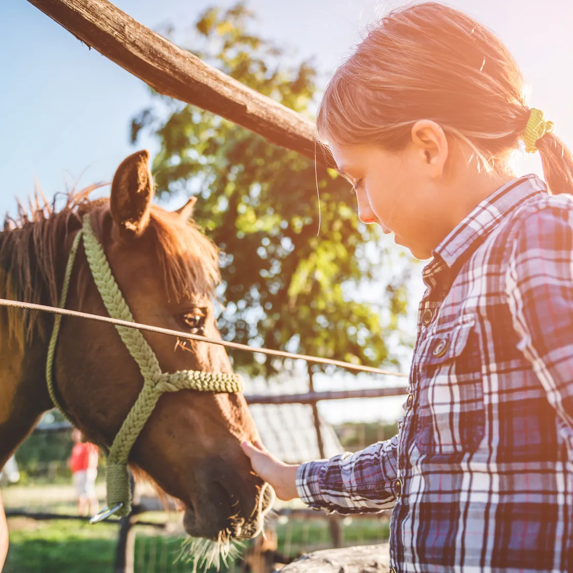 Above and Beyond Learning Experience Inc campus photo 2