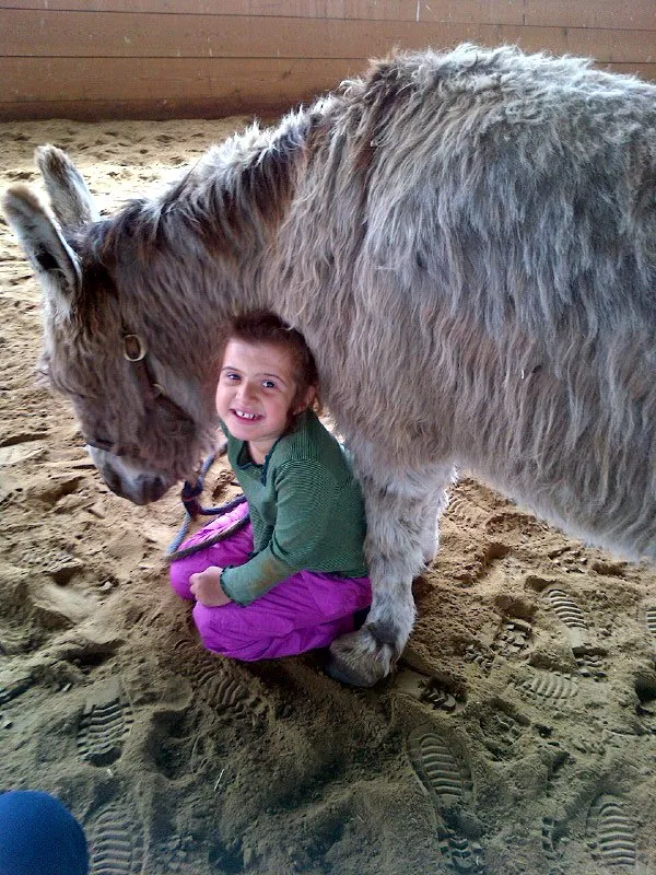 Above and Beyond Learning Experience Inc campus photo 7