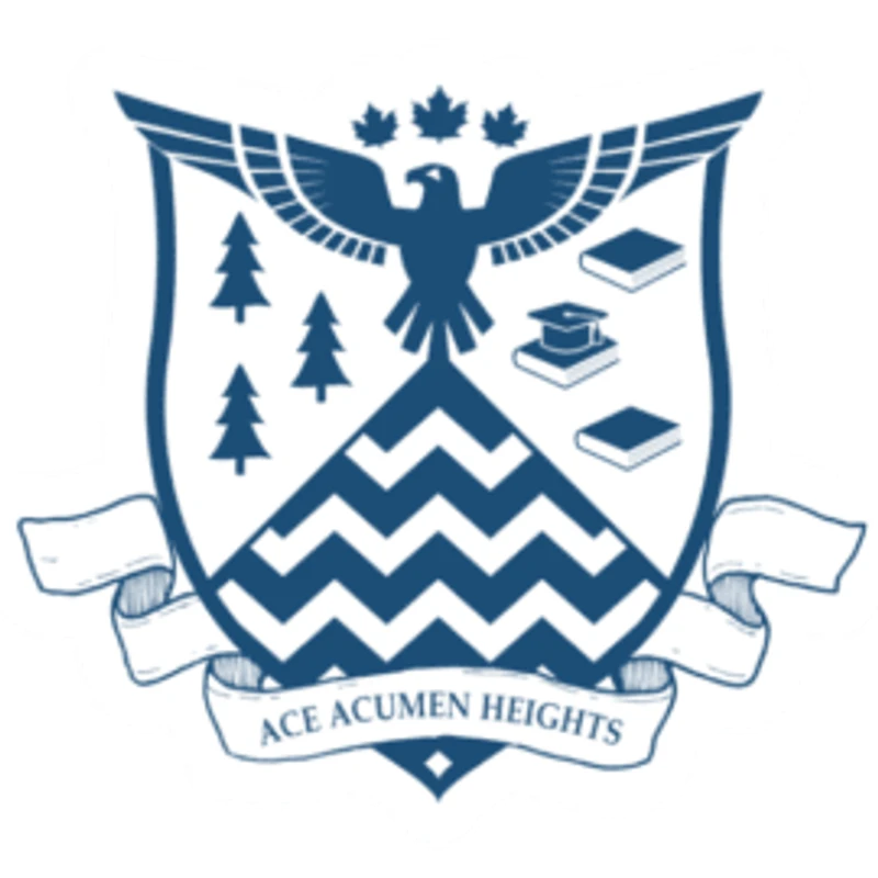 ACE Acumen High School