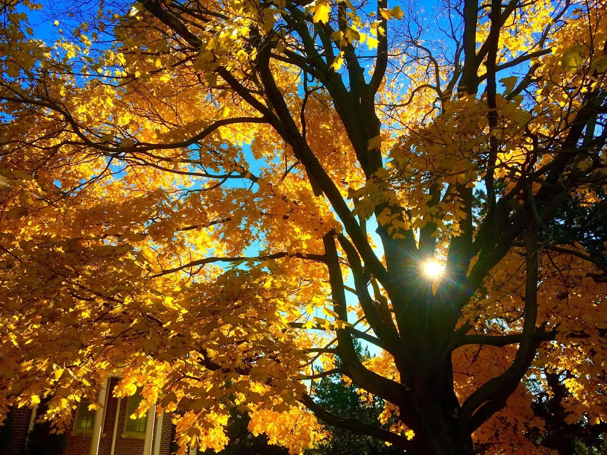 Century Private School HS campus photo 1