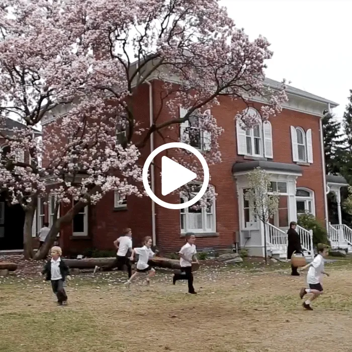 Clanmore Montessori School campus photo 7