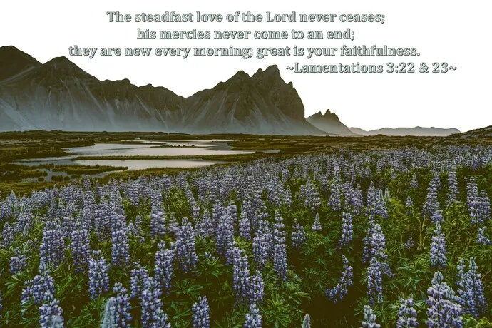 Covenant Canadian Reformed School campus photo 3