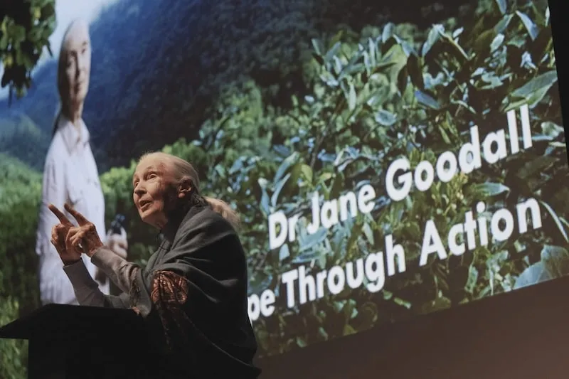 Eton College campus photo 7