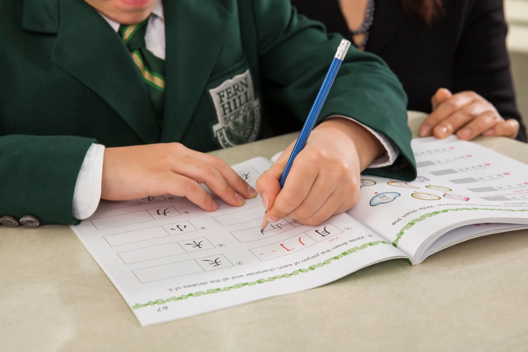 Fern Hill School