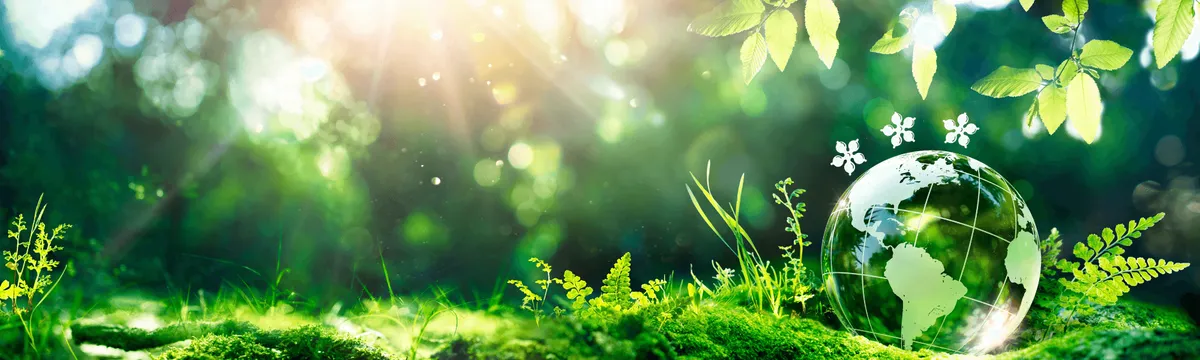 George Heriot's School campus photo 7