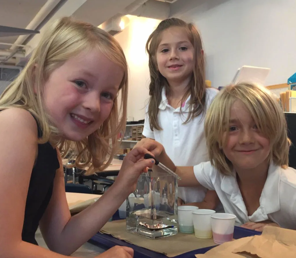 Glebe Montessori School campus photo 8