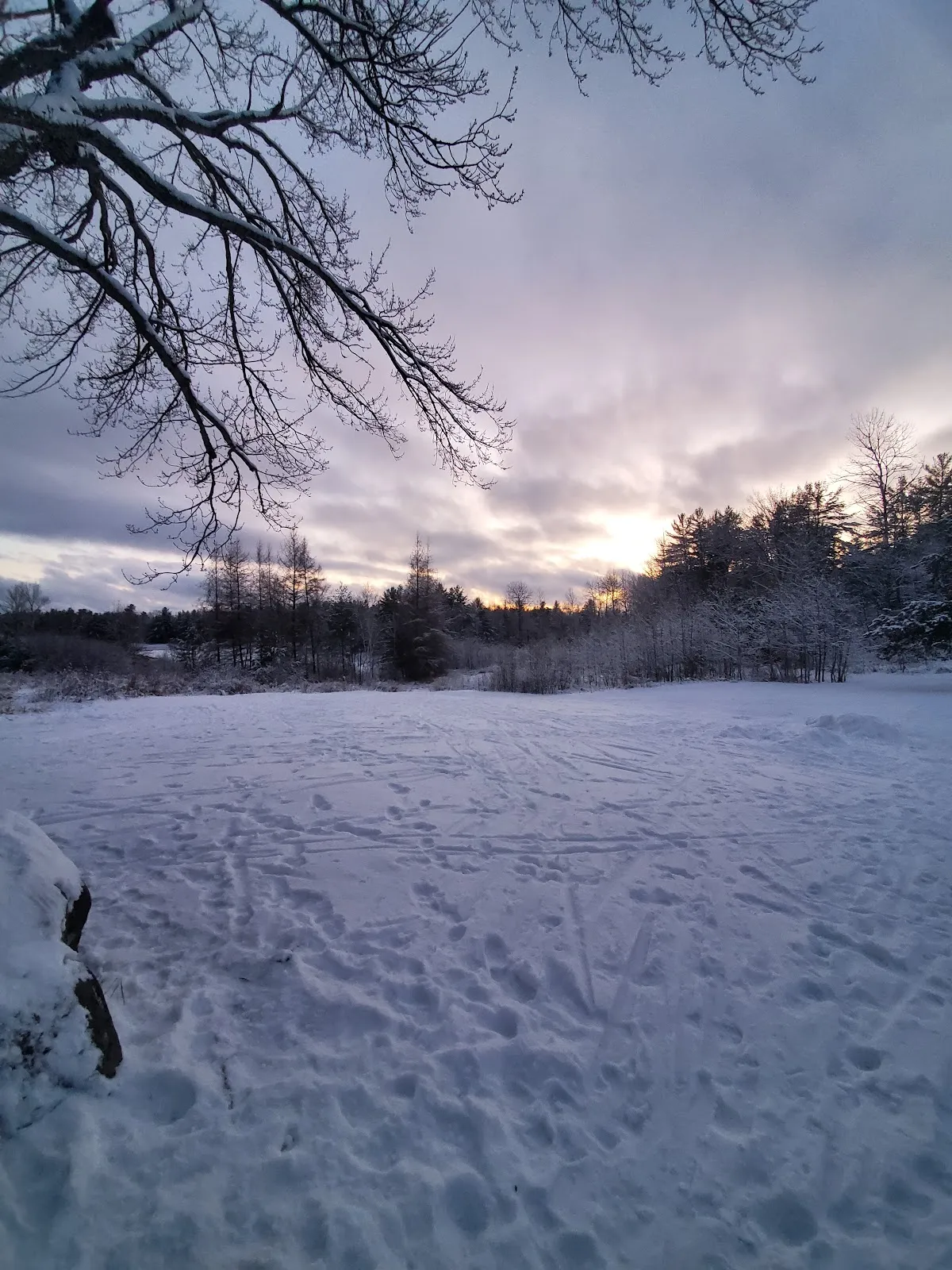 Great Moose Adventures campus photo 2