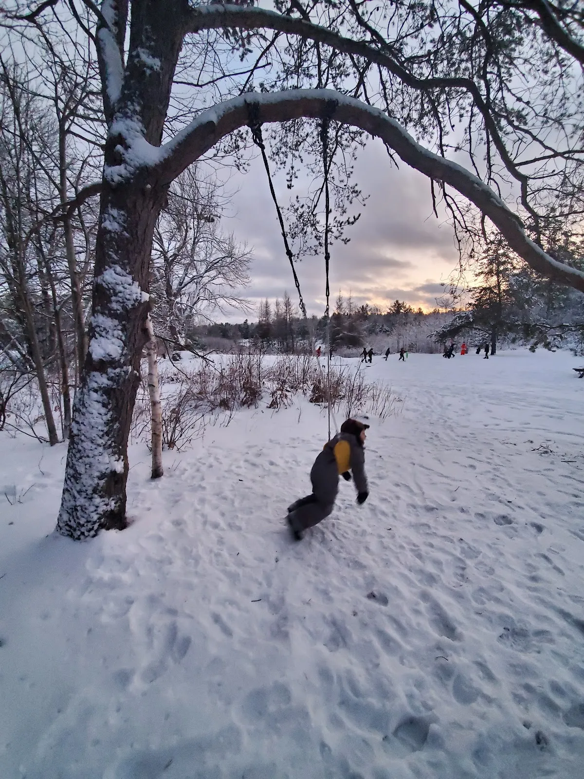 Great Moose Adventures campus photo 3