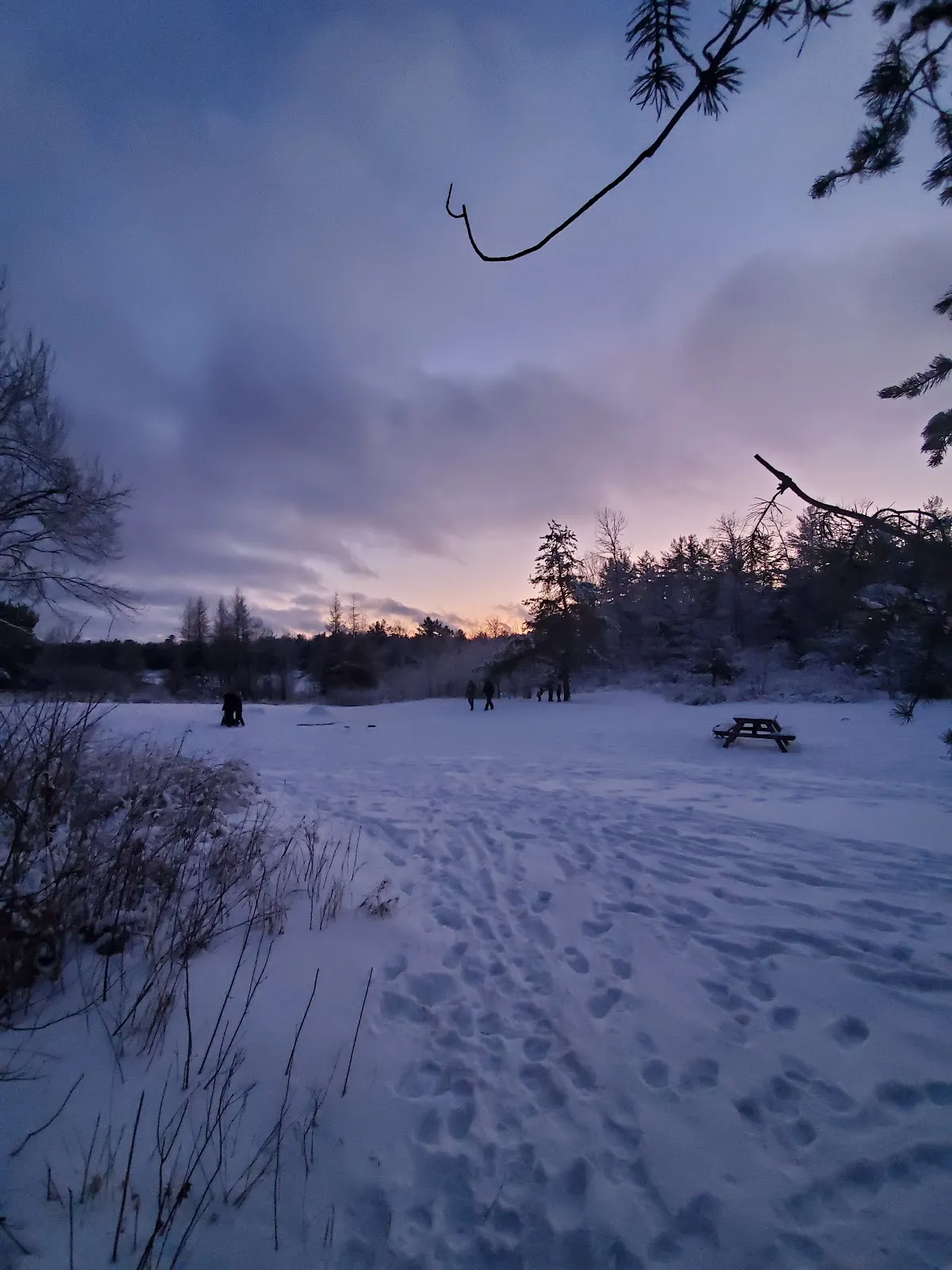 Great Moose Adventures campus photo 4