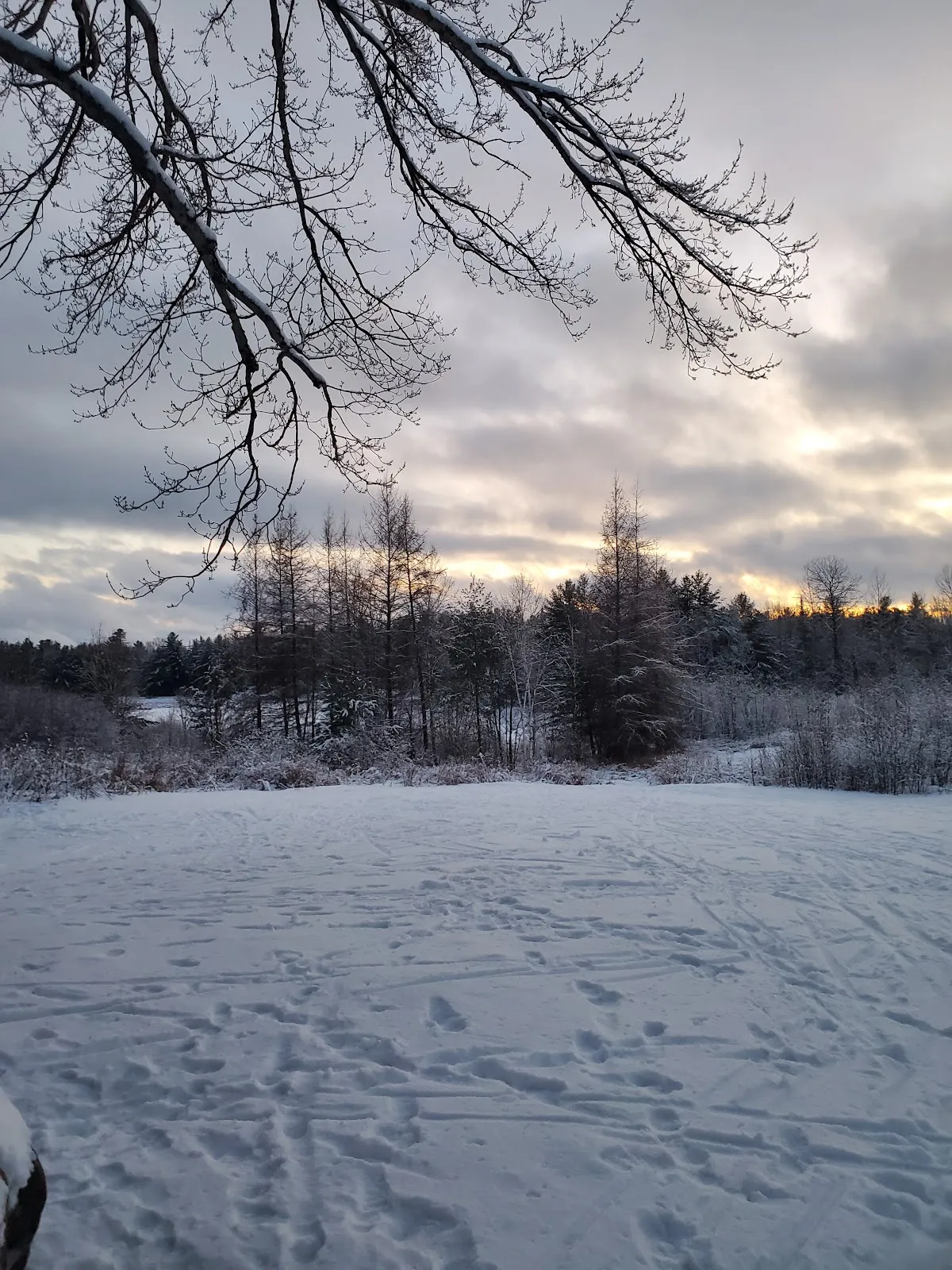 Great Moose Adventures campus photo 5