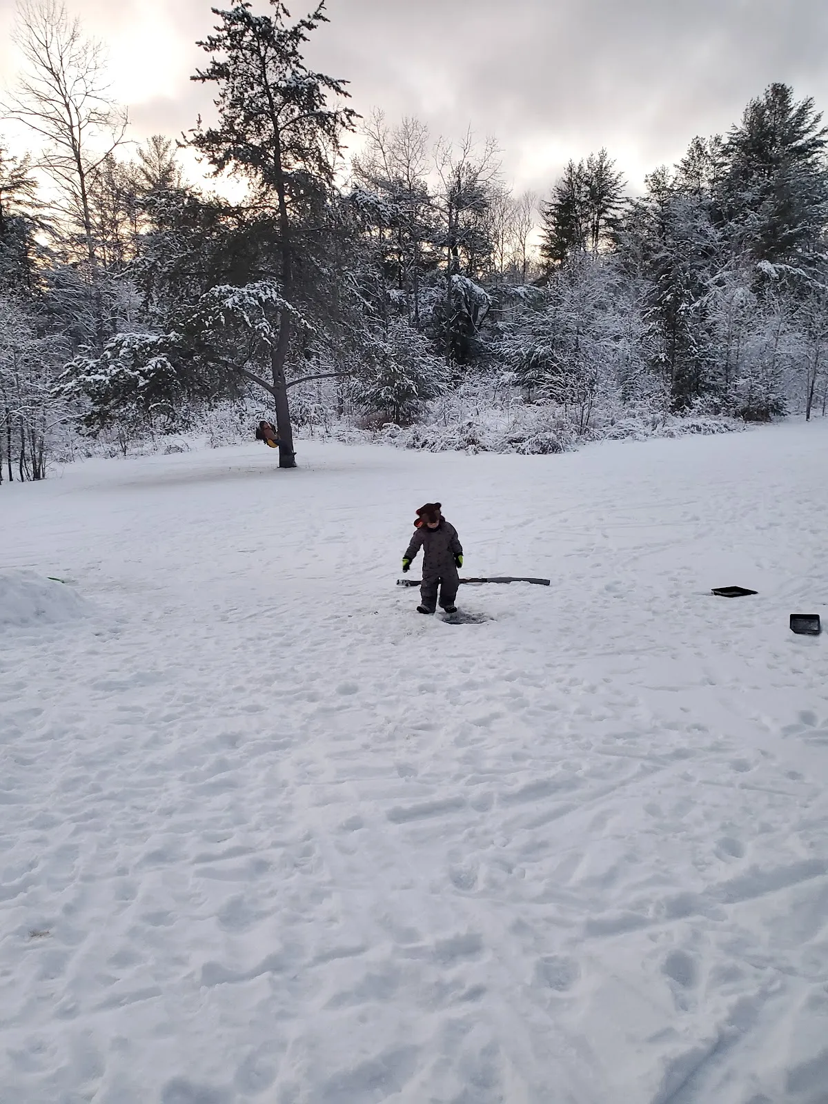 Great Moose Adventures campus photo 6