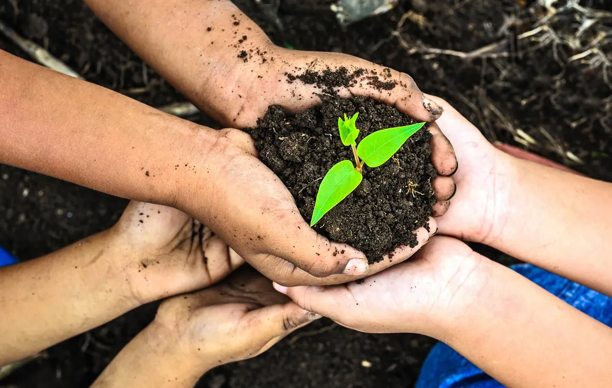 Higher Ground Christian School campus photo 5