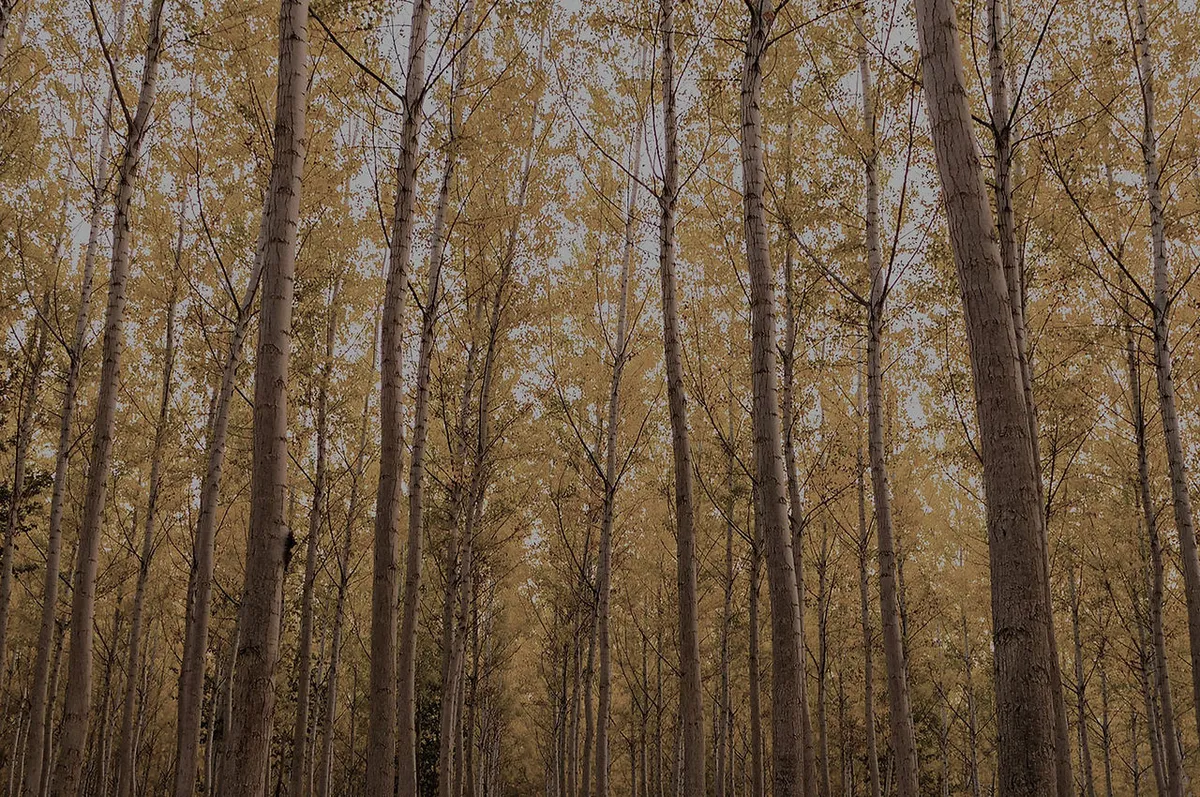 Hill Academy campus photo 2