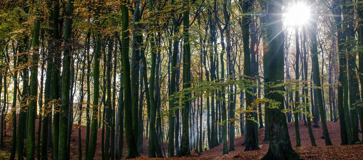 Hill Academy campus photo 4