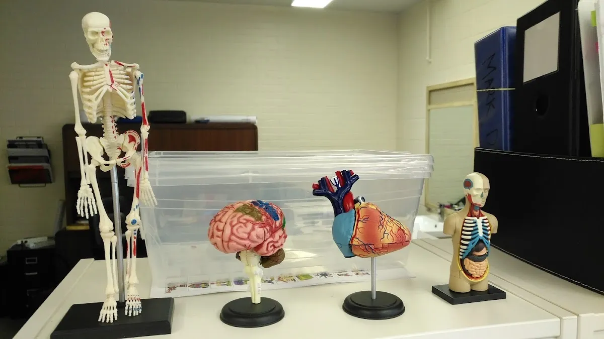 I am Smart S-Cool! campus photo 2