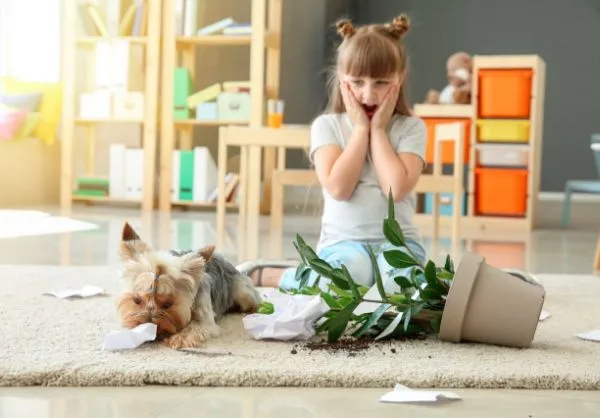 I am Smart S-Cool! campus photo 6