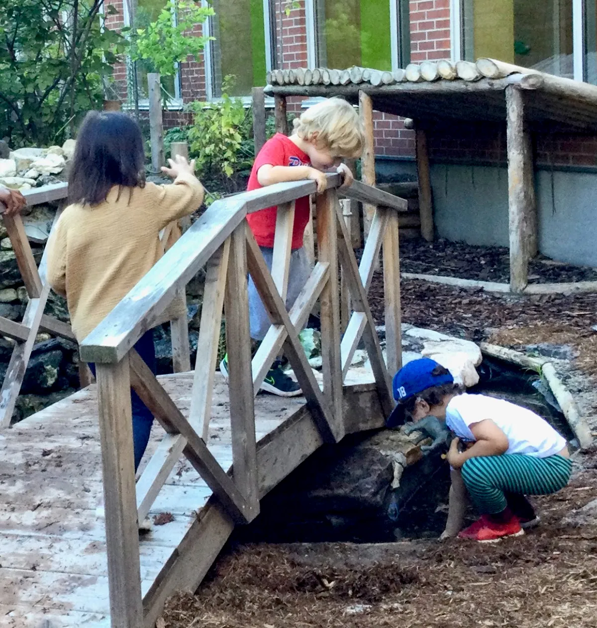 Jackman Institute of Child Study campus photo 7