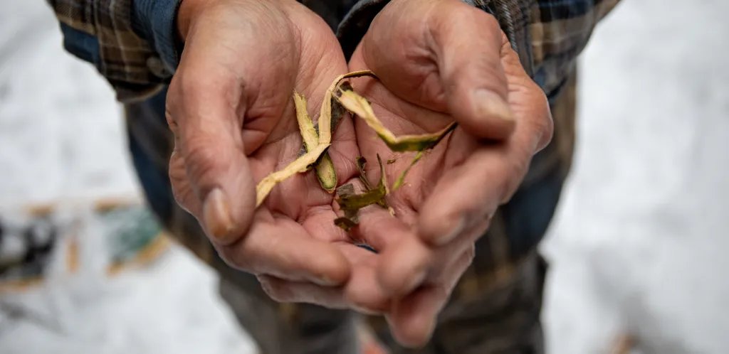 Keewaytinook Internet campus photo 2