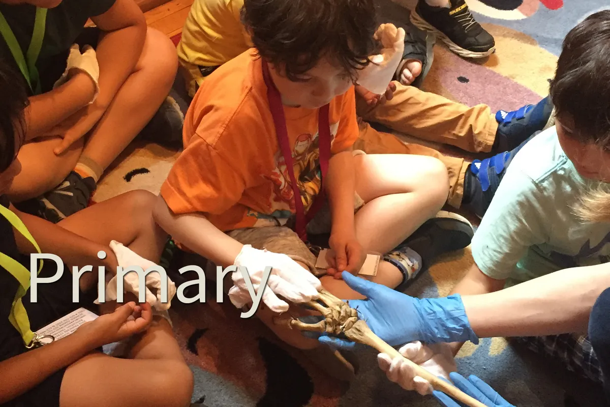 Lakeshore School campus photo 5