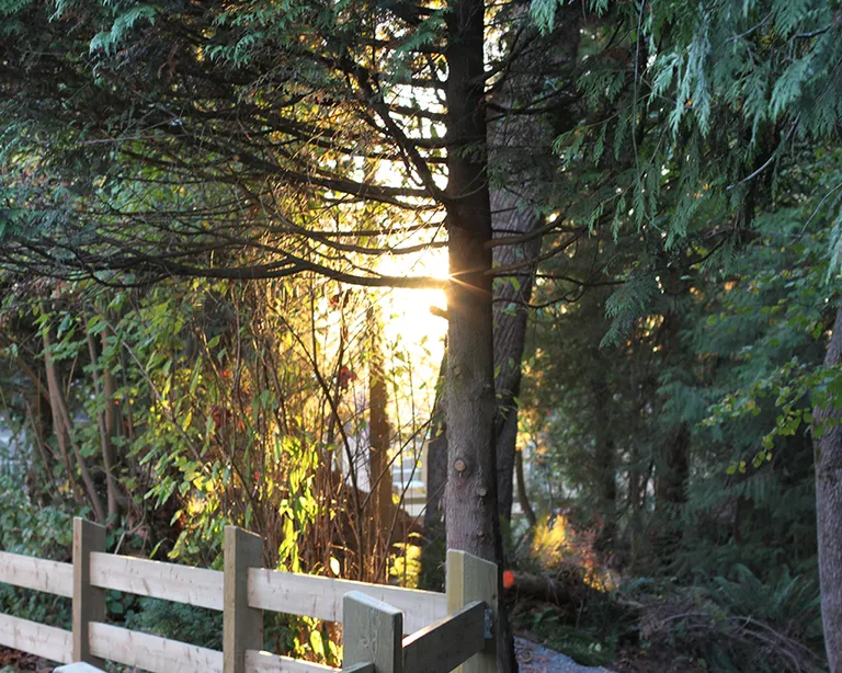 Meadowridge School campus photo 6