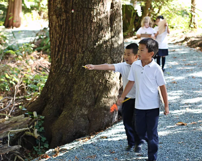 Meadowridge School campus photo 8