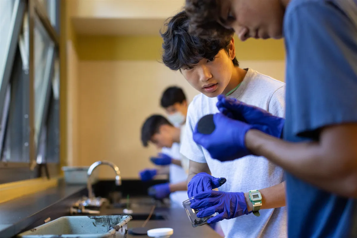 Polytechnic School campus photo 8