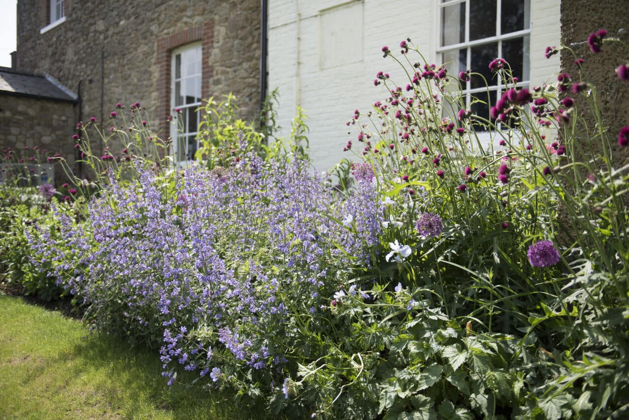 Sevenoaks School campus photo 8