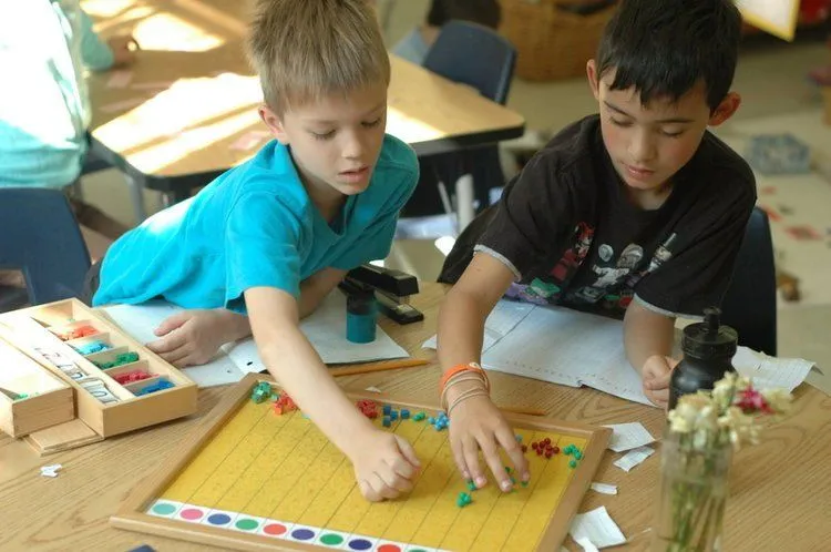 Taddle Creek Montessori School campus photo 6