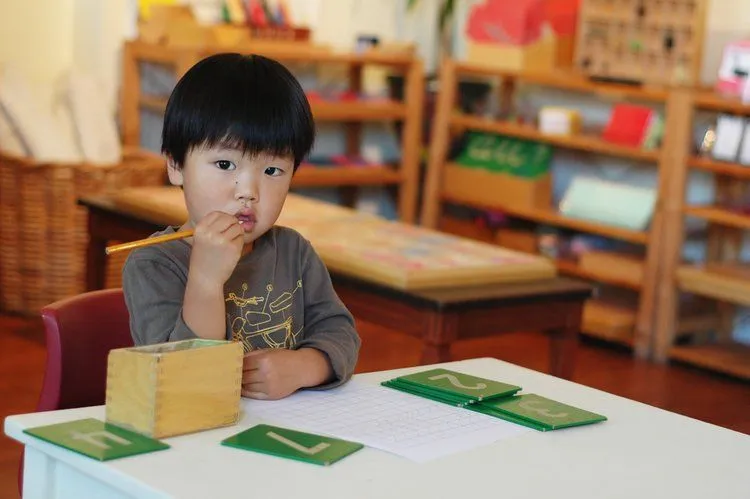 Taddle Creek Montessori School campus photo 7