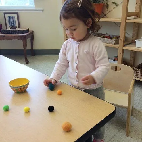 Taddle Creek Montessori School campus photo 8