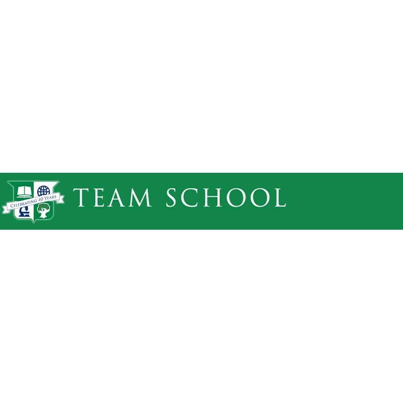 TEAM School