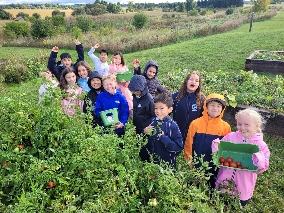 The Country Day School campus photo 1