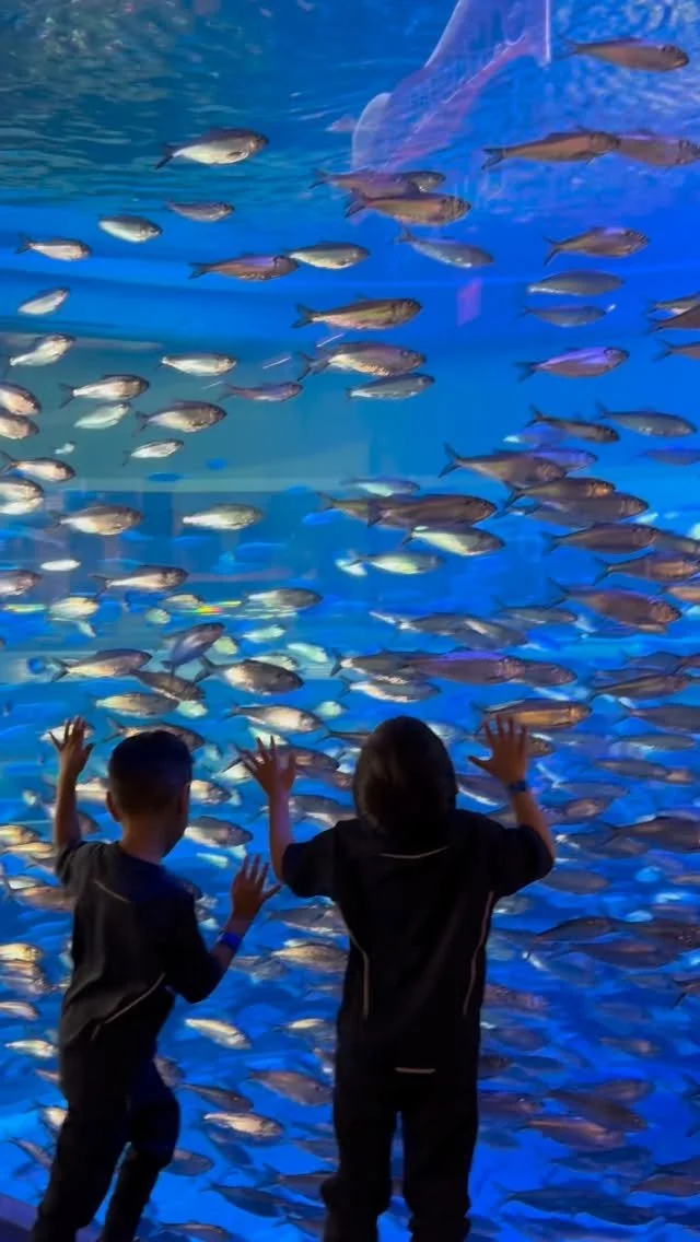 The Laurel School campus photo 6