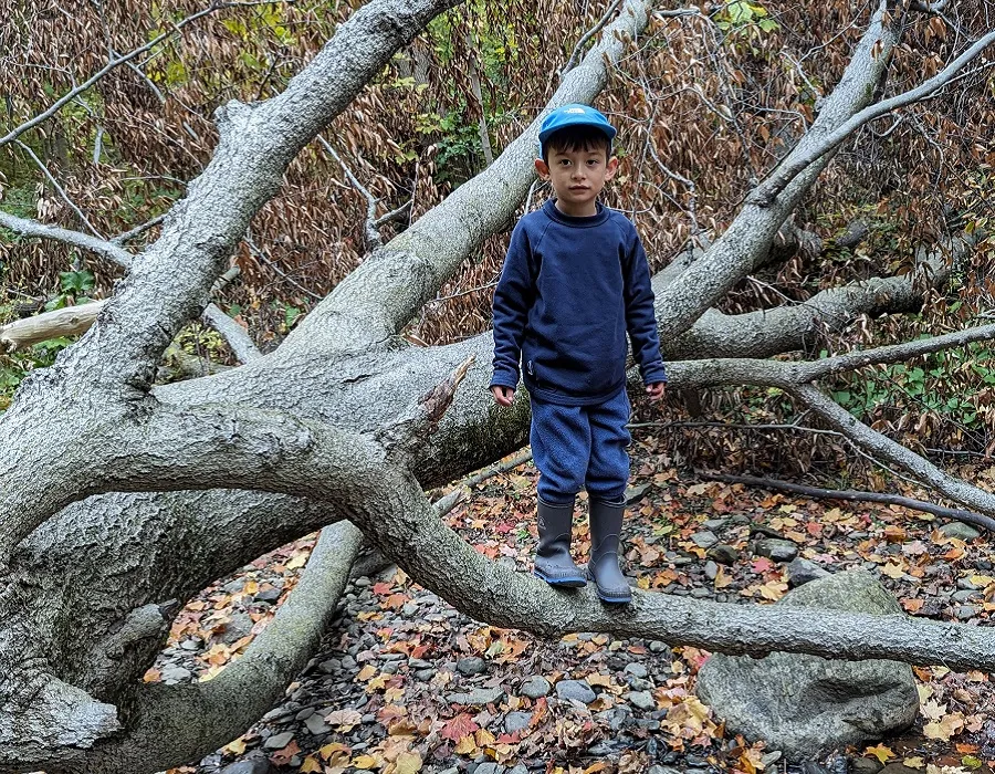 The Nature School campus photo 2