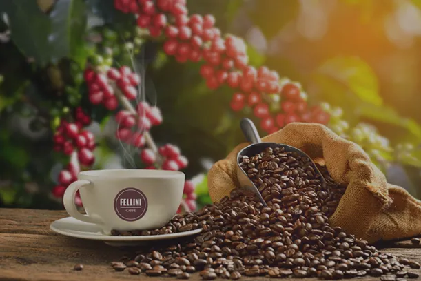 Voice Integrative Private School campus photo 1