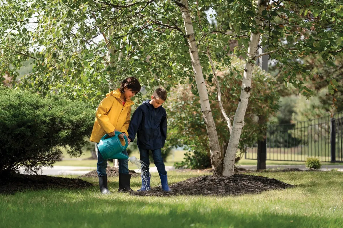 Walden International School campus photo 4