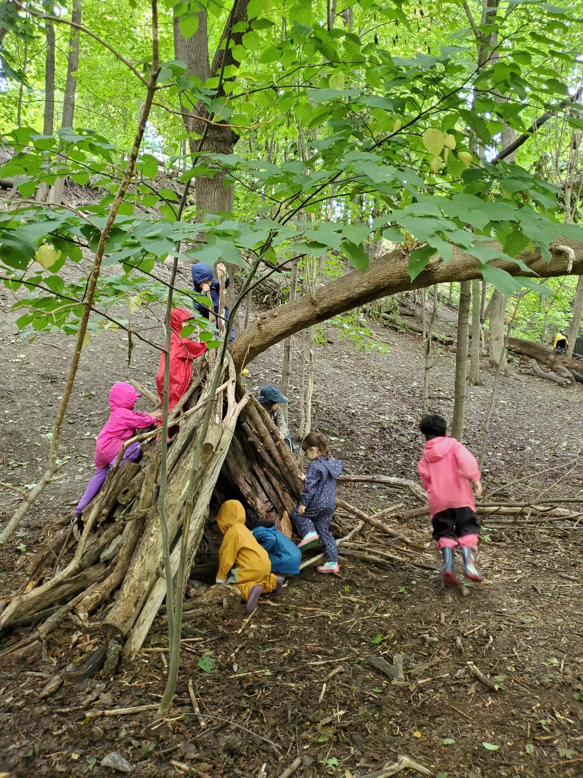 Waldorf Academy campus photo 7