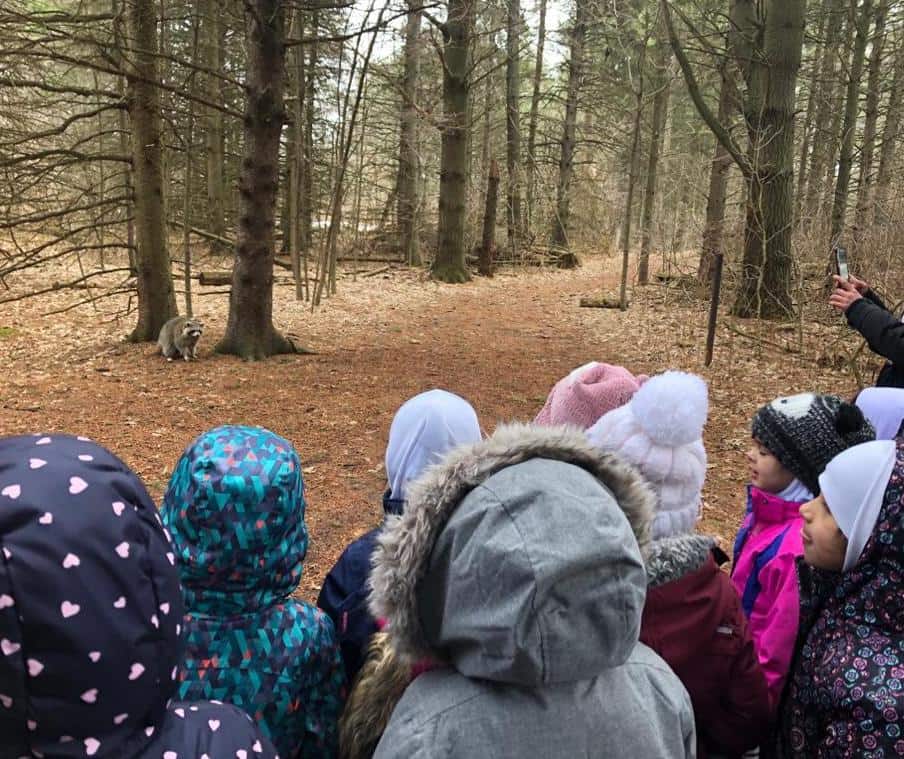 Wali ul Asr School campus photo 4