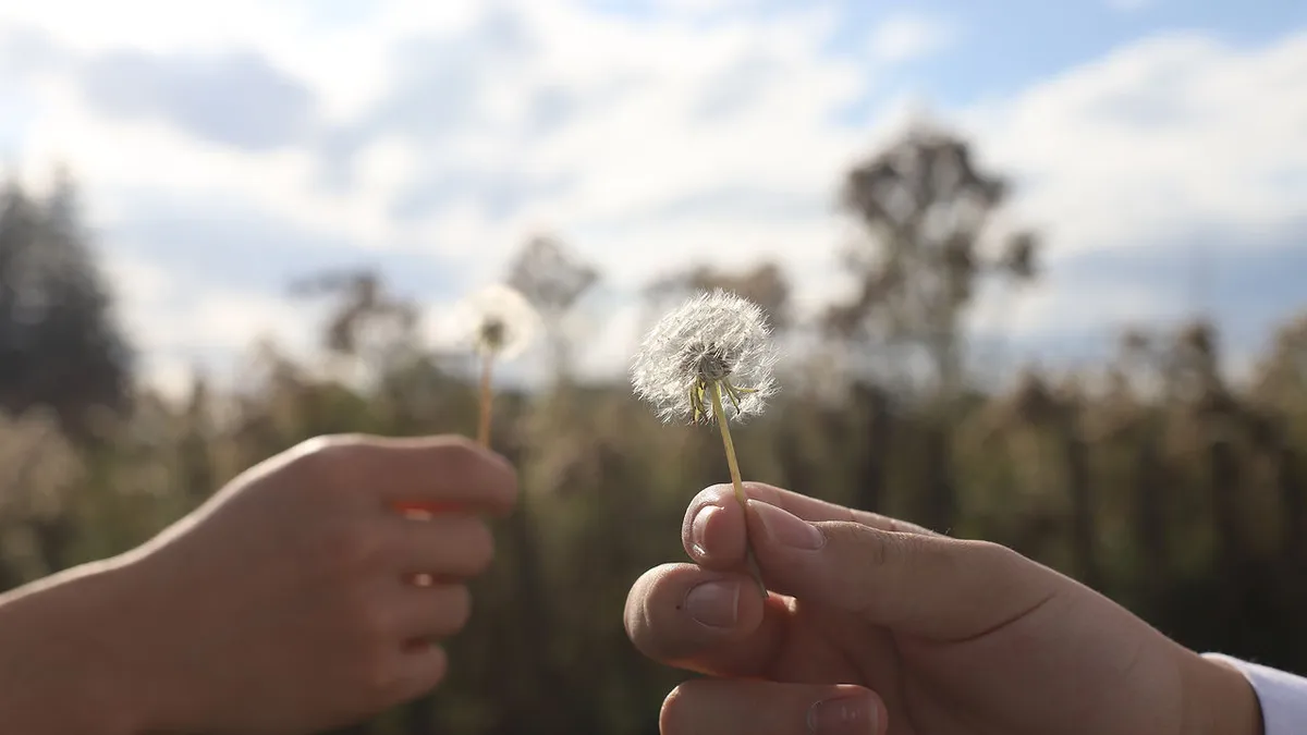 Waterloo Independent Secondary School campus photo 1