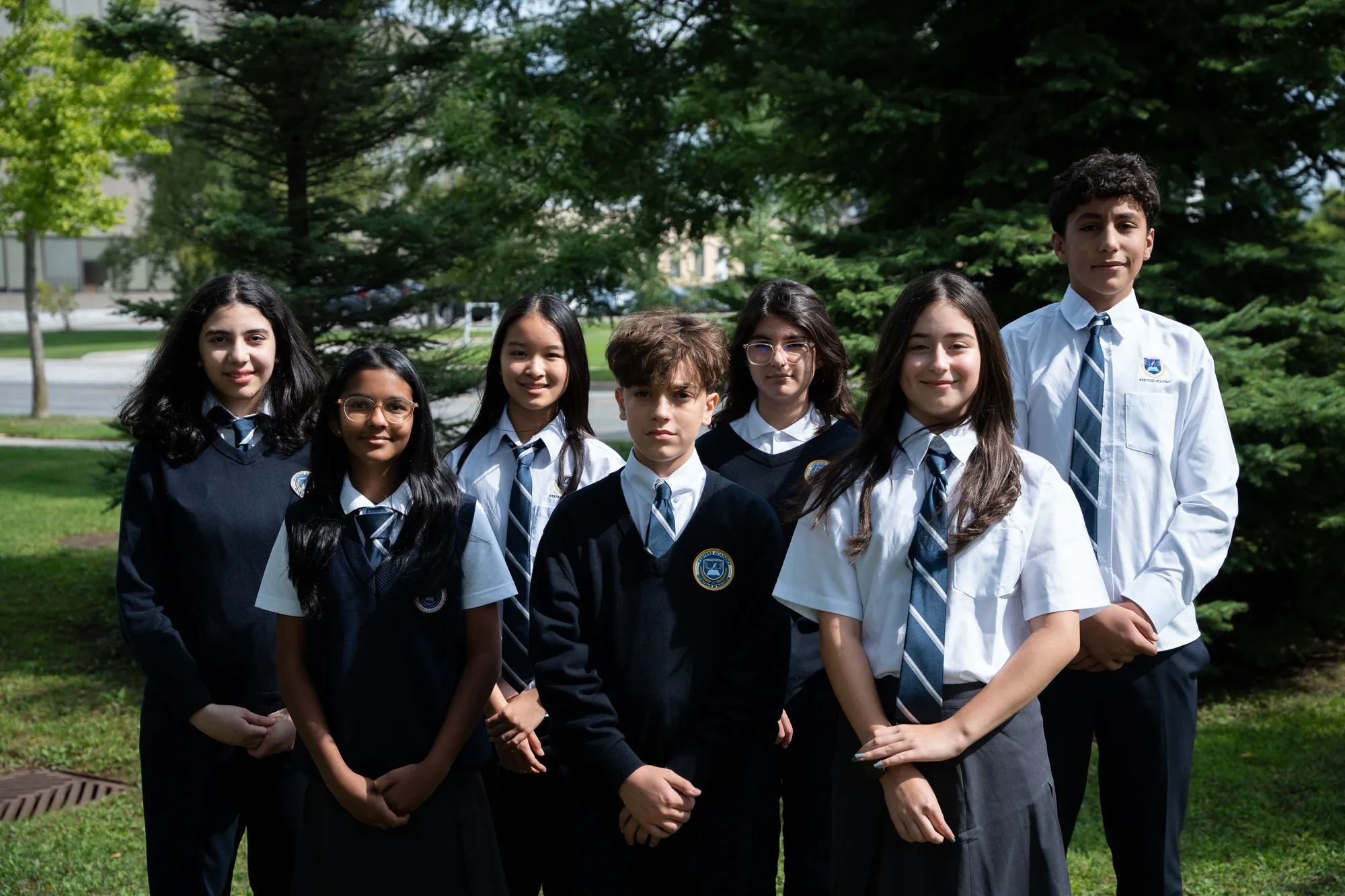 Webtree Academy