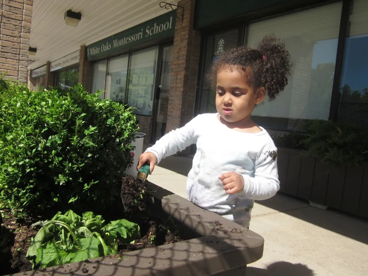 White Oaks Montessori School campus photo 4