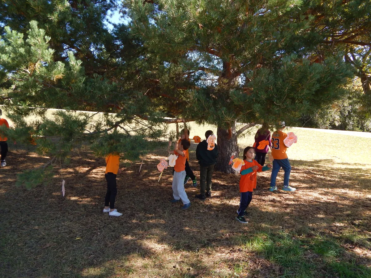 Woodlands Adventist School campus photo 3