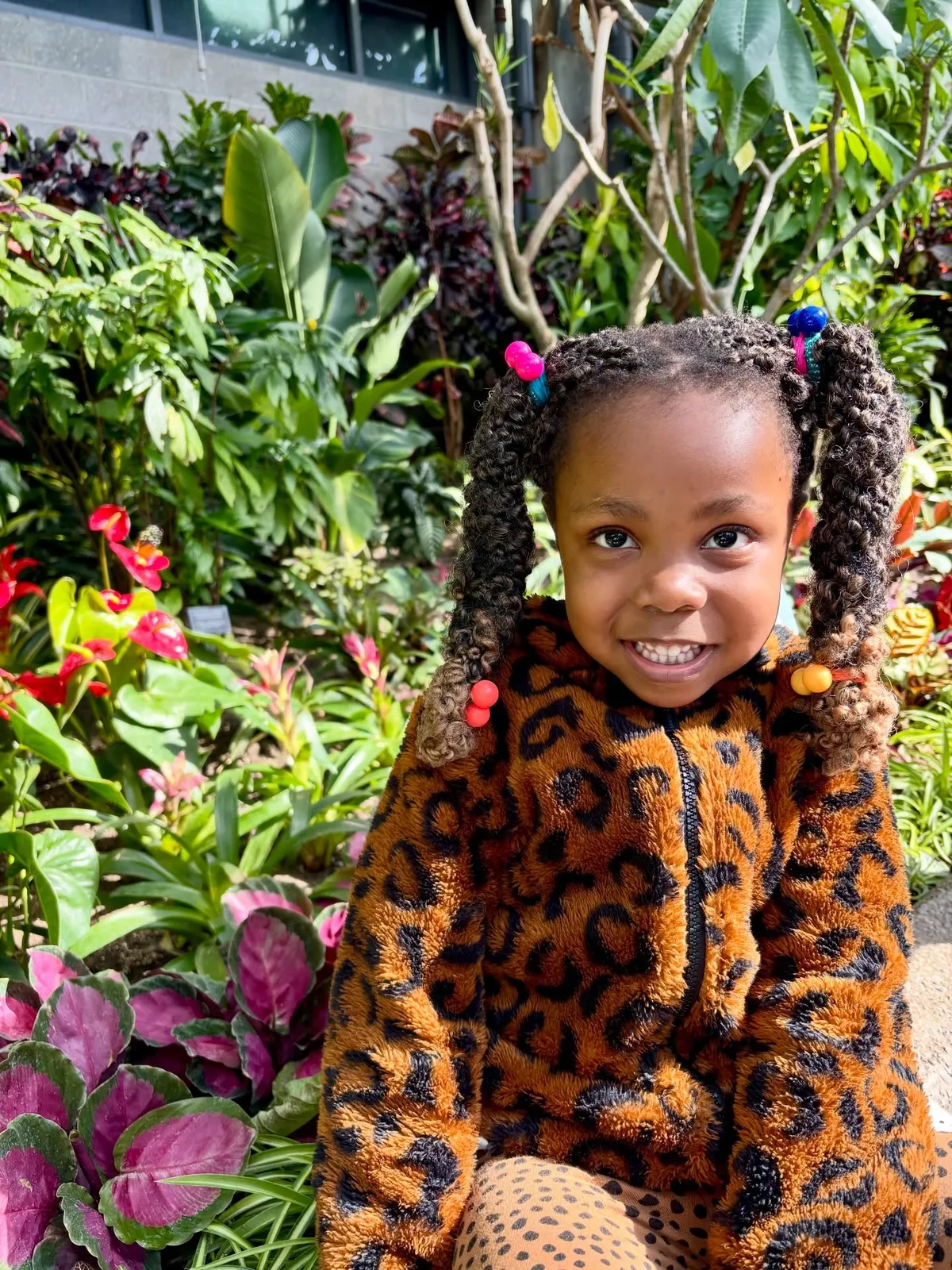 Glenmore Christian Academy Junior High campus photo 18