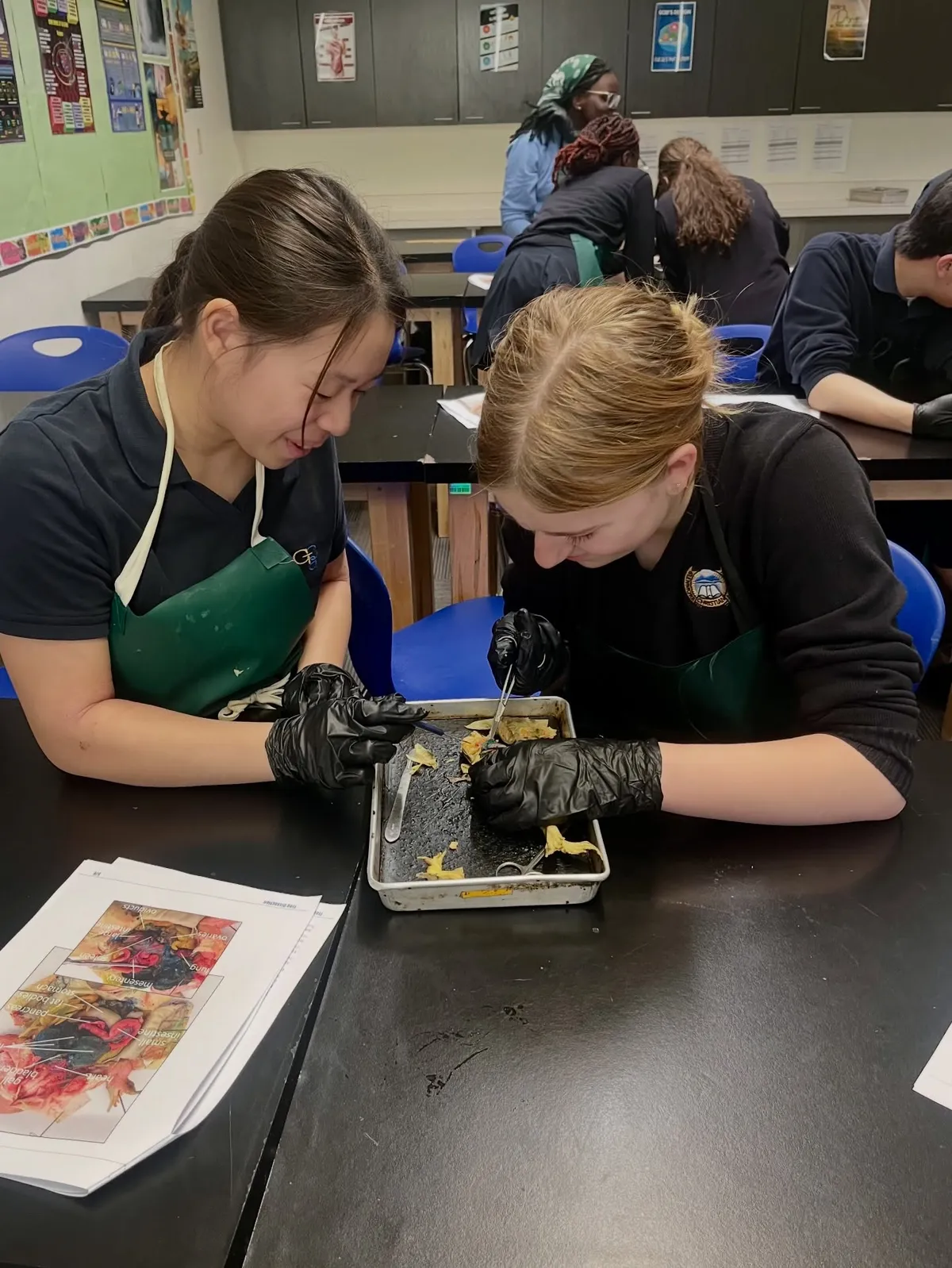 Glenmore Christian Academy Junior High campus photo 21