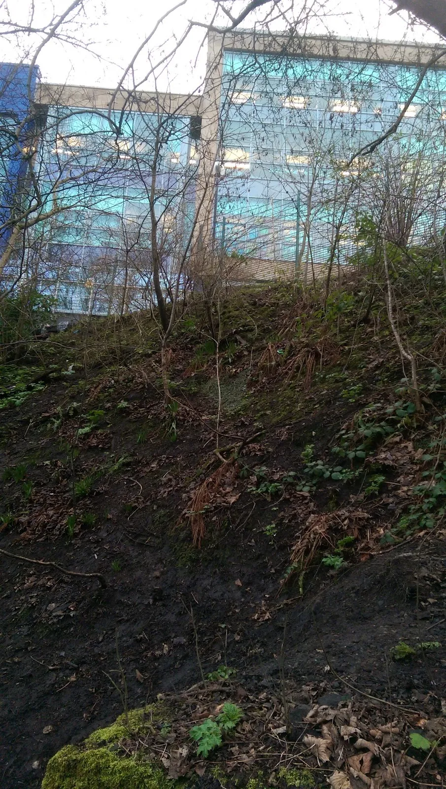 Glasgow Academy campus photo 11