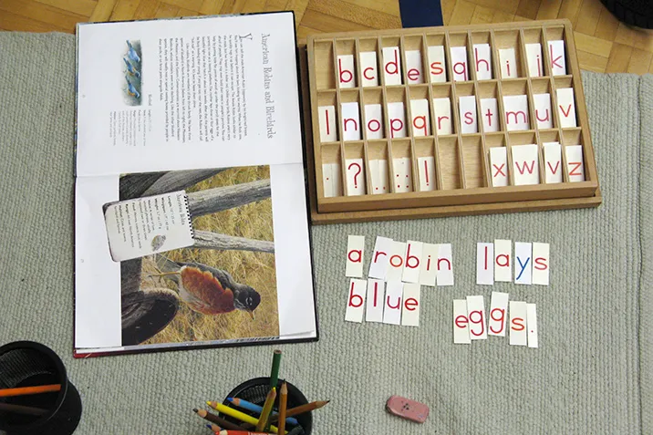 Dearcroft Montessori School campus photo 9