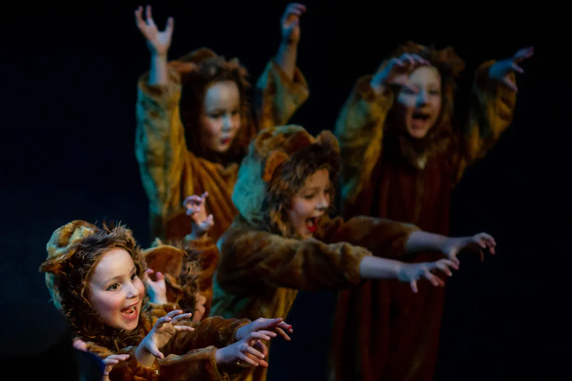 Ivan Franko Ukrainian School campus photo 8