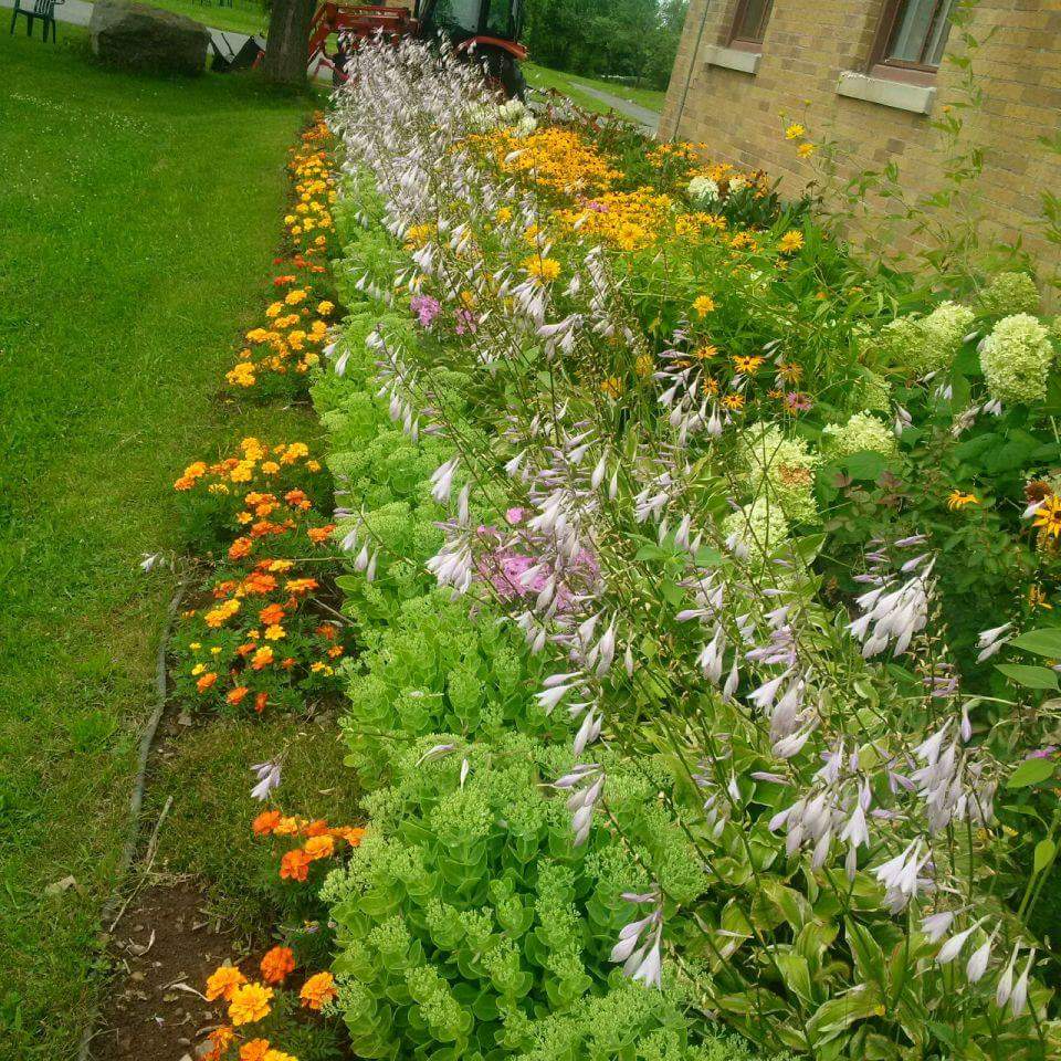 Islamic Institute Al-Rashid campus photo 20