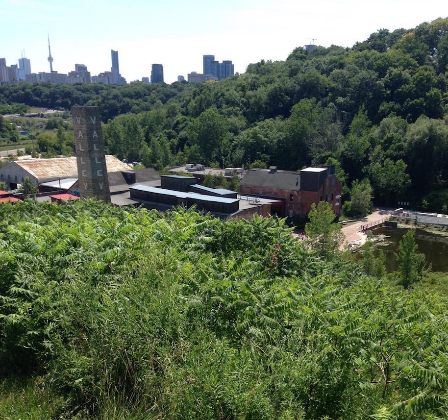 Gradale Academy campus photo 3