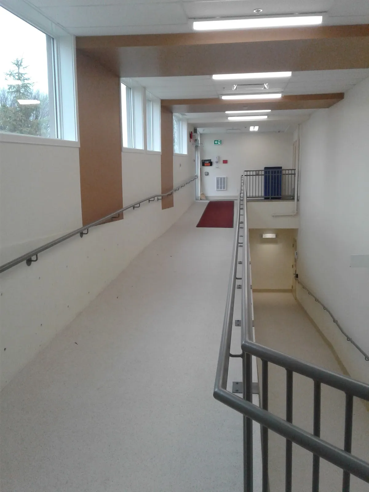 Elves Adult & Youth Centre campus photo 12